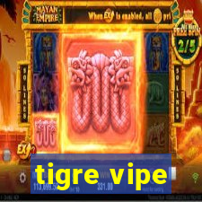 tigre vipe